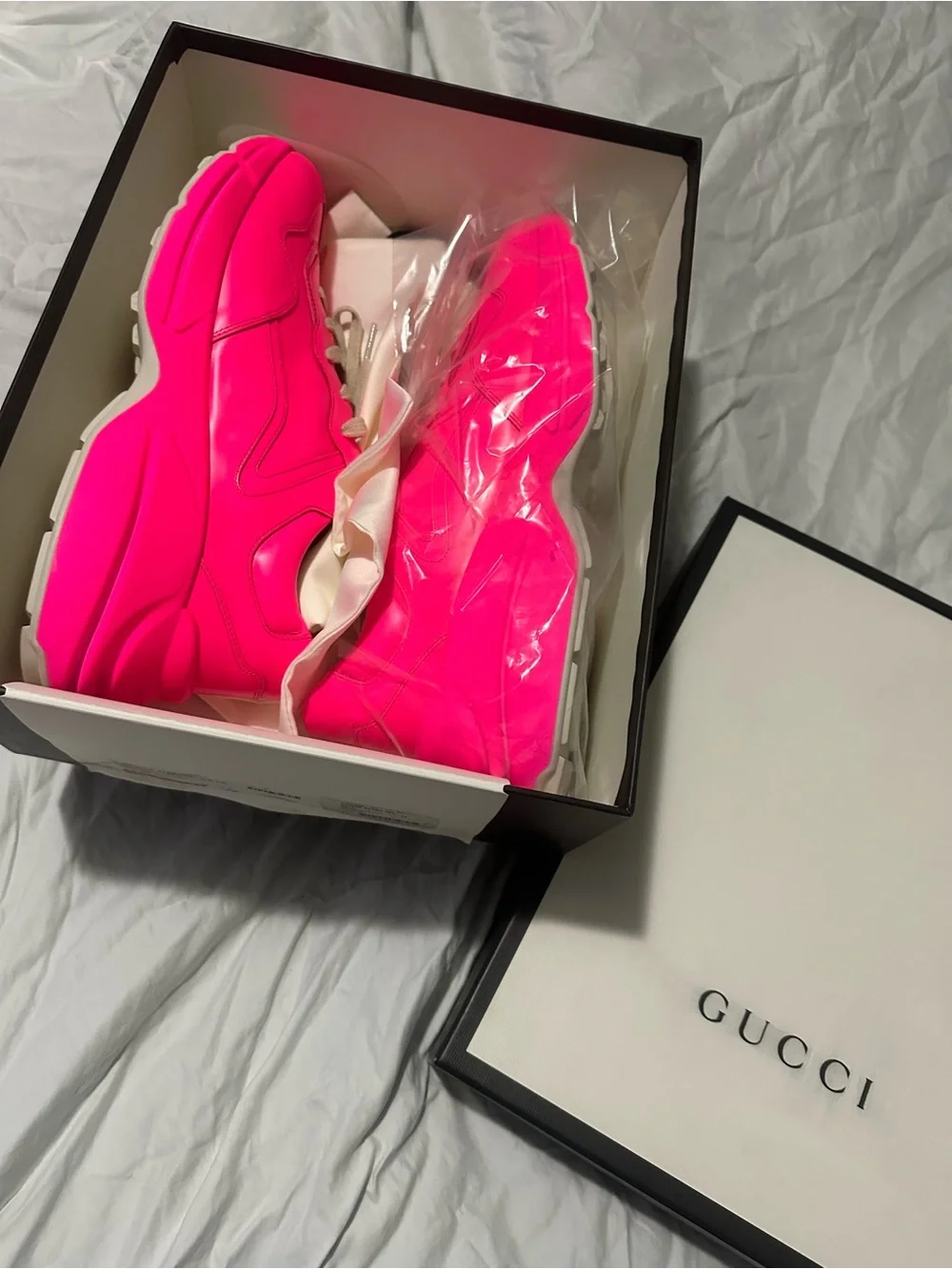 Gucci vibrant hot